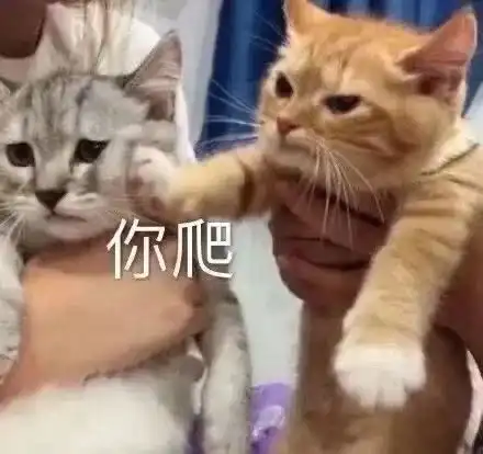  女朋友很可爱是什么体验原来是爱用高糊可爱表情包