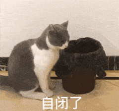  中奖名单出来了