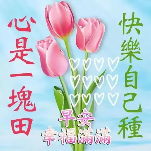 早上好表情包可爱周报