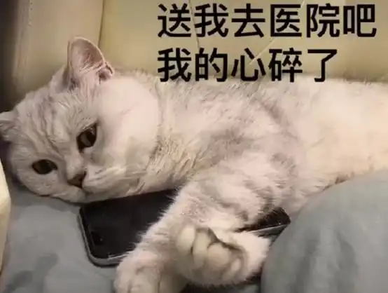  拯救娱乐圈的紫微星从希望和幻灭之间,只用了一秒的时间