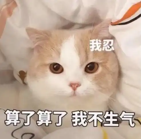养猫之后,最讨厌听到这些话 养猫之后,最讨厌听到这些话