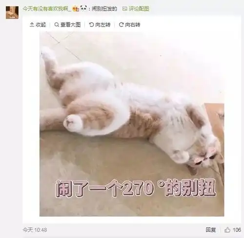 给对象发的表情包动图快