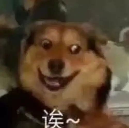 狗托表情包哲学