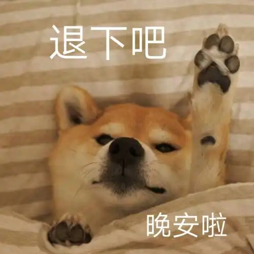 你好的表情包说晚安