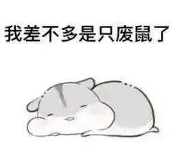 小仓鼠表情包图片大全废