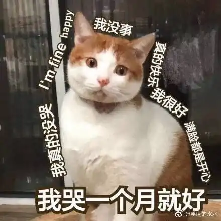  一年以后更新到底要怎样才能找到男朋友