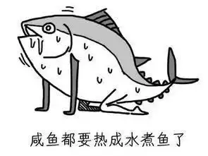  咸鱼表情包大全人如果不装x,那跟咸鱼有什么区别