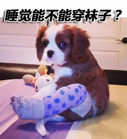  关于睡觉穿袜子的问题,你有没有被骗过