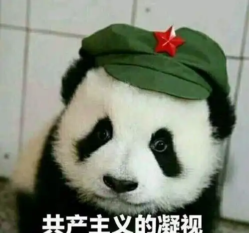  铲屎官和猫咪的七年之痒,老夫老妻了啥也不说了