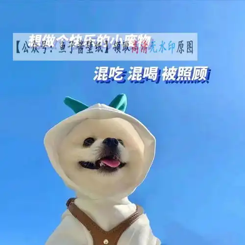  想做个快乐的小废物混吃混喝被照顾抖音热门壁纸表情包背景图头像