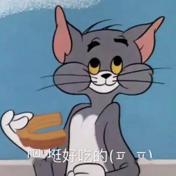 猫咪冲刺表情包沙雕
