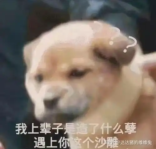  大学宿舍的关系真的有你想象中那么好吗