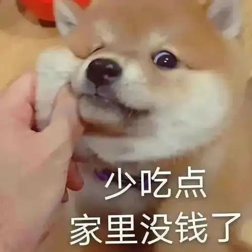 时代少年团沙雕表情包女