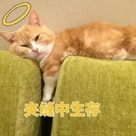 表情包大战安装别装了