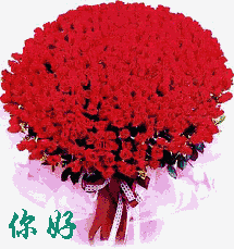  今天520520朵漂亮玫瑰送给群里每位朋友快打开看看