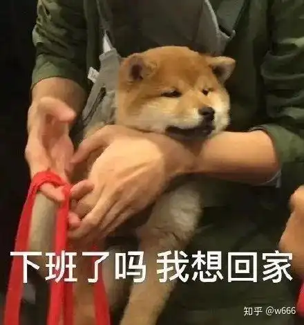 男女动图搞笑表情包恶犬