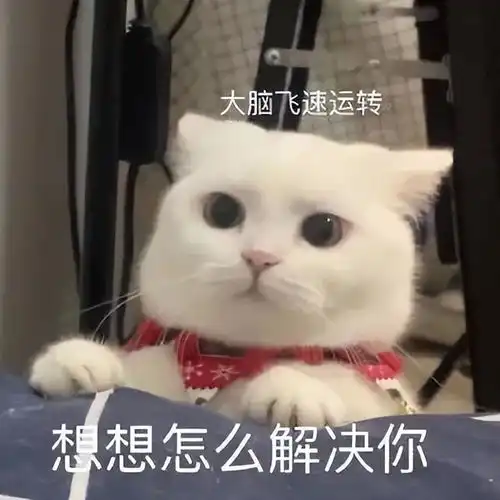  74岁竞演妲己自爆胜在眼神魅惑,到底哪个导演给她的勇气啊
