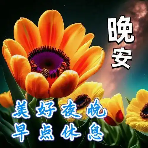  晚上好问候表情包,愿你健康快乐好梦连连