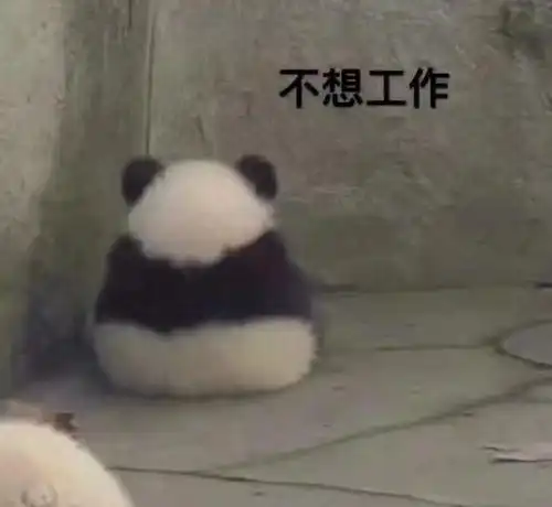  猫加熊猫,无敌表情包,无水印