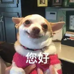  一天不看你们骚,我就难受