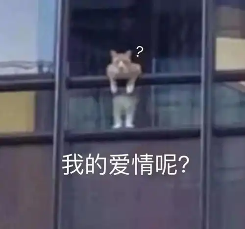 生活有一千种方法搞死社畜,我用37张表情包平息你的愤怒 生活有一千种方法搞死社畜,我用37张表情包平息你的愤怒