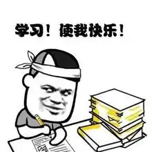  芝加哥大学研究生项目