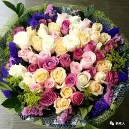  今天520520朵漂亮玫瑰送给群里每位朋友快打开看看