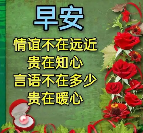  2月7日早上好祝福经典语录晚上好表情图早上好表情包