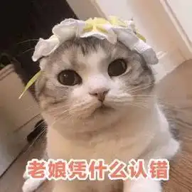  猫我上了16斤重的大公猫,他们说我是变态...