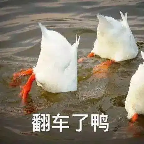  最全解读英国绩点和一等学位背后的那些事儿