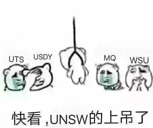  unsw商科挂科率再创新高却难敌悉尼大学,小伙伴见面就问今天,你挂了吗