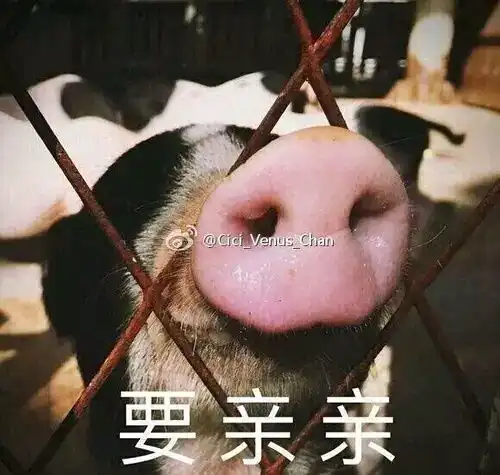 有在家上班的仙女吗 有在家上班的仙女吗