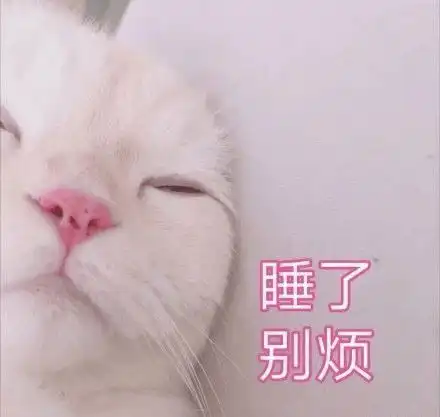  不费摧毁之力拿下比赛dwg,lck发文回怼g2老板麦哥的吐槽
