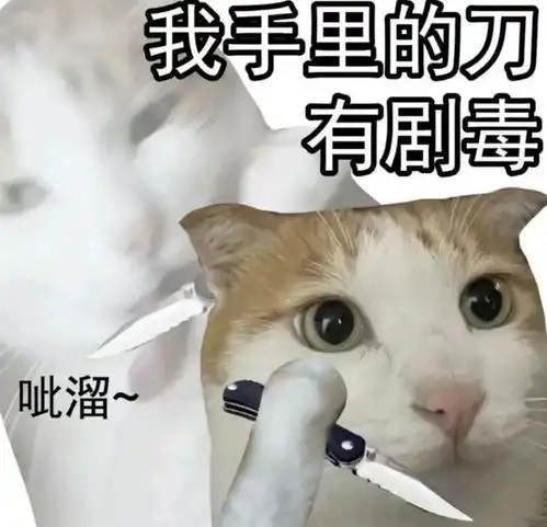  你这是什么话我不喜欢丨第842期喵表情包