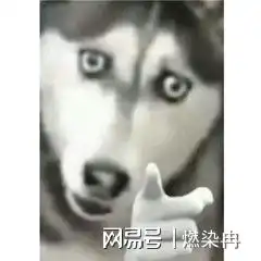  别在对你的脸下狠手啦它没有那么脏