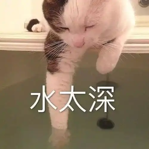  我的猫太贴心,往我炒饭里加了两个蛋