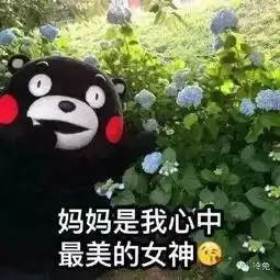 送给所有妈妈的母亲节表情包拿走不谢