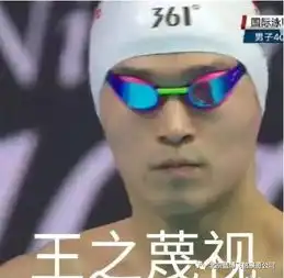  孙杨夺冠用实力打脸霍顿