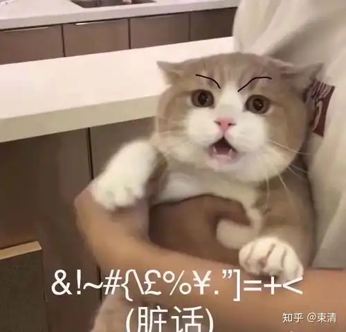 啊对对对表情包军训