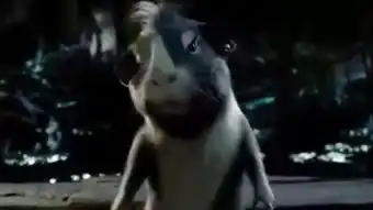  豚鼠特工队中文