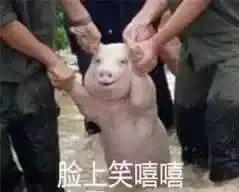 倒霉到极致是什么体验原谅我笑出了猪叫哈哈哈 倒霉到极致是什么体验原谅我笑出了猪叫哈哈哈