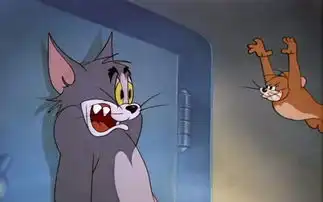 猫和老鼠的全部相关视频bilibili哔哩哔哩弹幕视频网 猫和老鼠的全部相关视频bilibili哔哩哔哩弹幕视频网