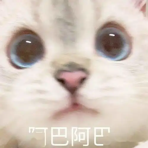  11月19日表情包合集