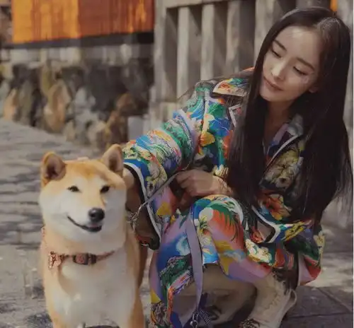  女星坐姿花样百出,杨幂水蛇坐一般人学不会,却不及杨超越的坐姿