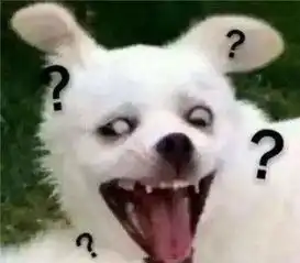  萌宠归途你回来了真好,再也不要离开了好吗