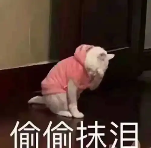  父母共读男孩不是笨也不是傻,他是真的开窍晚