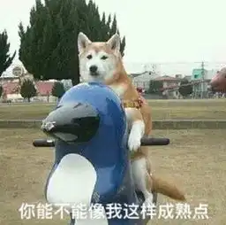  贾玲,真正的嘴强王者