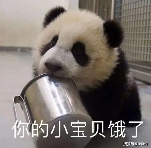  最新表情包图片我是一只莫得感情的猫,我超开心
