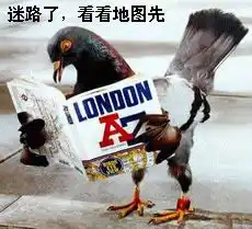  搞笑动物qq表情