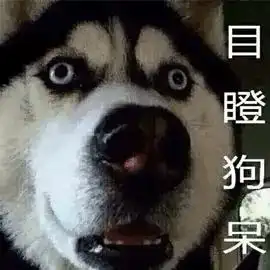  二哈搞笑表情大集合,确认过表情,血统都很纯正